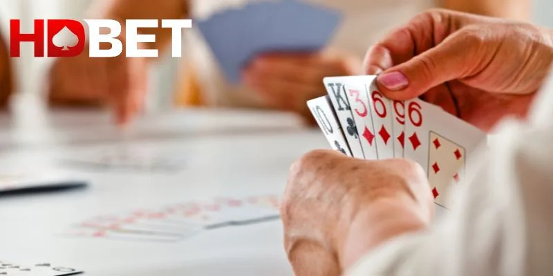Phỏm HDBET nổi bật với luật chơi đơn giản Phỏm HDBET nổi bật với luật chơi đơn giản